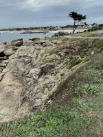 Une balade au bord de la mer